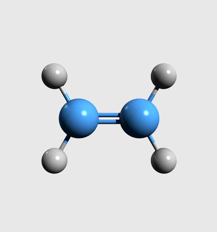 This image for Image Layouts addon